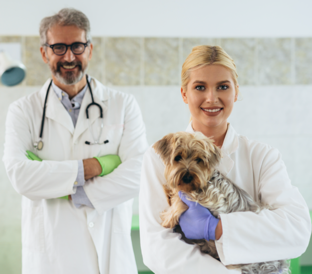 Veterinarians in Raleigh, NC | Magnolia Animal Hospital | Veterinary Care